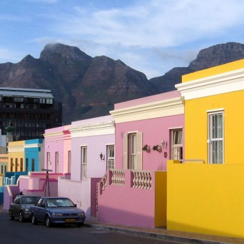 49086122353_81a3d116bf_o